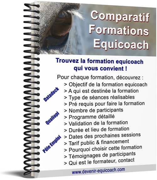 Formations equicoach : comparatif formation equicoach