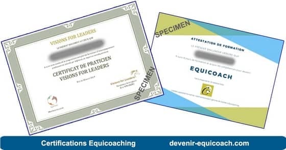 Certification equicoach