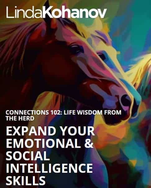 Formation Eponaquest "Connexions 102", Linda Kohanov