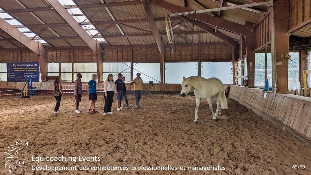 Photo de séance d'équicoaching numéro 1