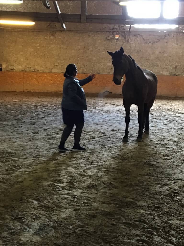 Photo de séance d'équicoaching numéro 2