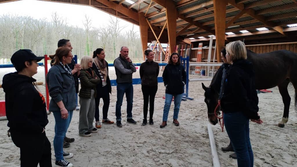Photo de séance d'équicoaching numéro 1