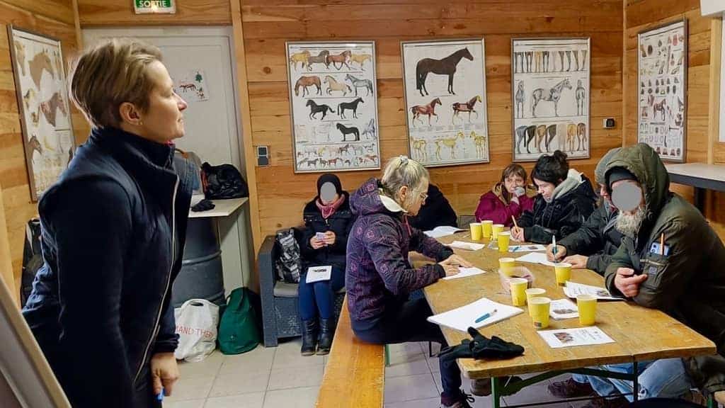 Photo de séance d'équicoaching numéro 3