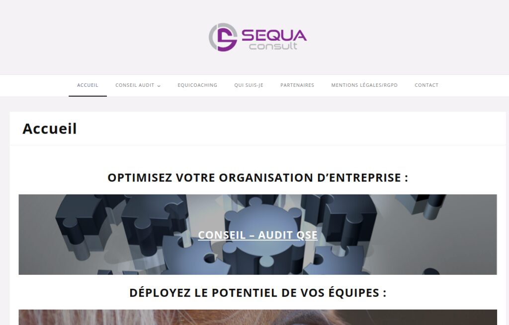 Capture d’écran du site web de l’equicoach Carole HANRIOT, dans l’annuaire Equicoach