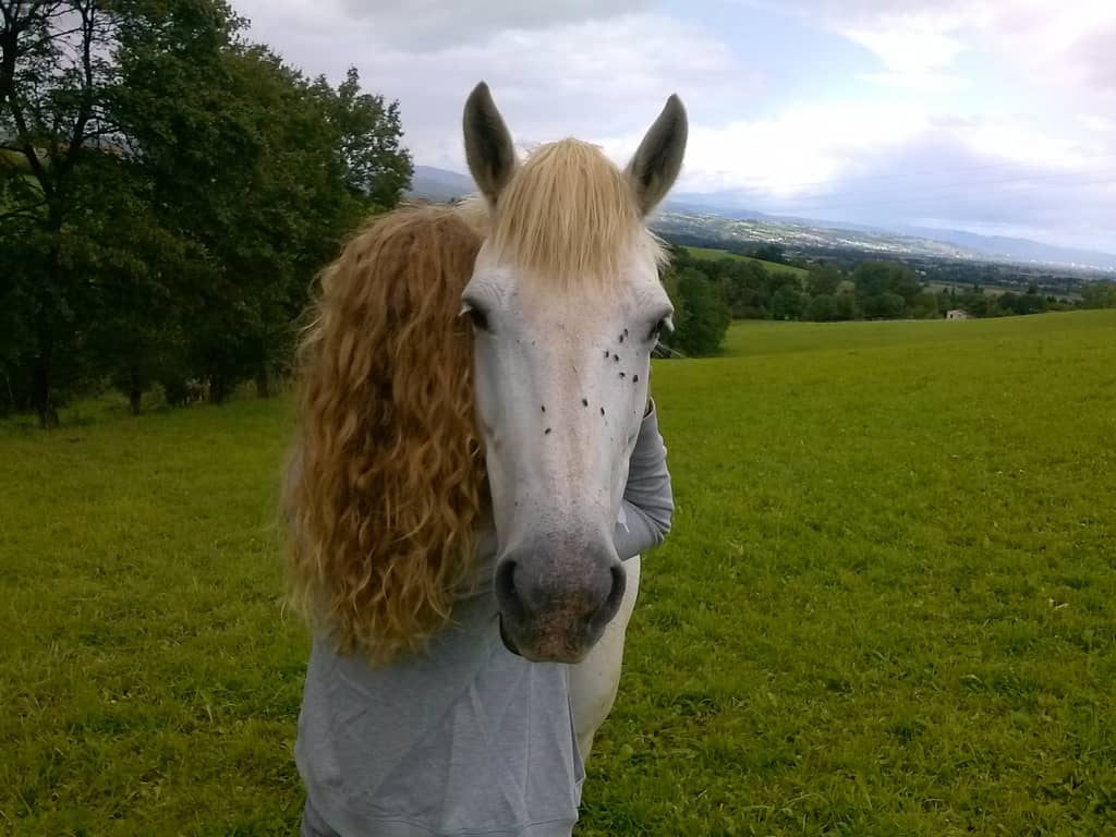 Photo mise en avant de Anne Peudecoeur, equicoach en Auvergne-Rhône-Alpes