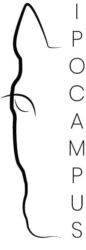 Logo de Ipocampus, Anne Peudecoeur equicoach en Auvergne-Rhône-Alpes