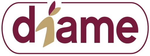 Logo de Diame, Diane Massonie equicoach en Île-de-France