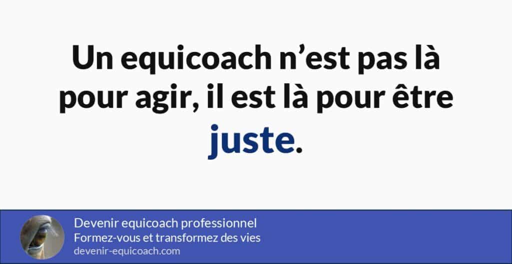 Posture equicoach le travail sur soi avant d accompagner les autres avec le cheval.
