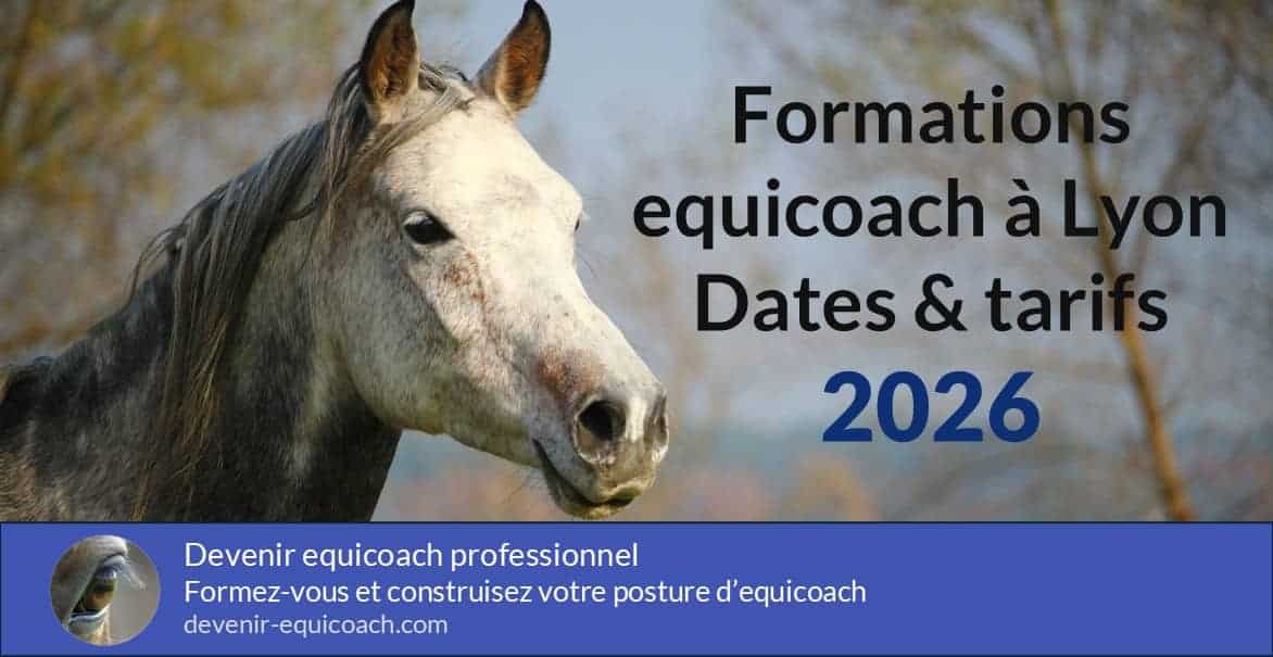 Formations equicoach à Lyon avec dates et tarifs 2026.