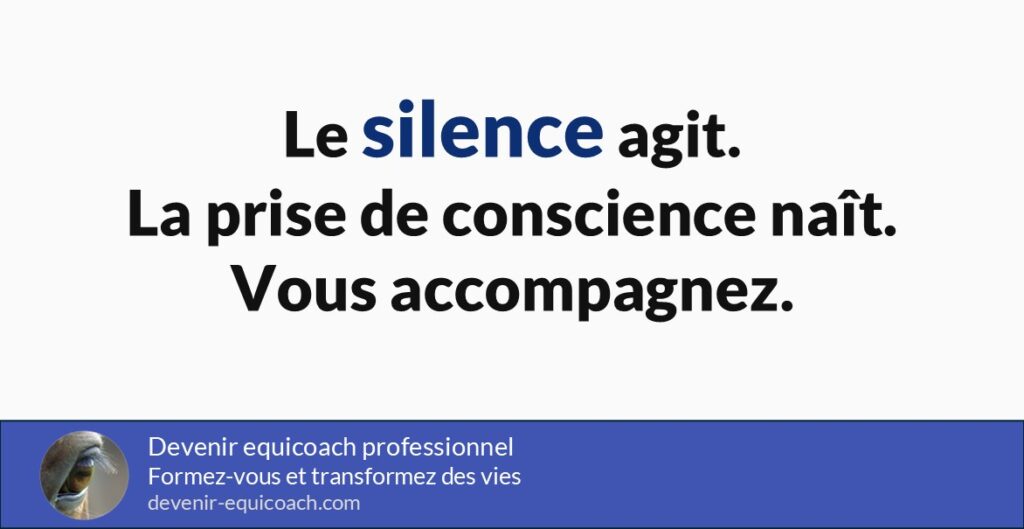 Le silence favorise la prise de conscience en equicoaching.