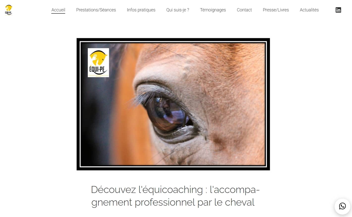 Capture d’écran du site web de l’equicoach Céline Labaune dans l’annuaire Equicoach.