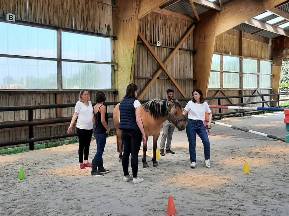 Séance collective equicoaching animée par Céline Labaune en Bourgogne-Franche-Comté.
